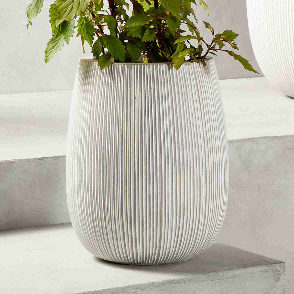 Cemento gris interior/plantador al aire libre medio