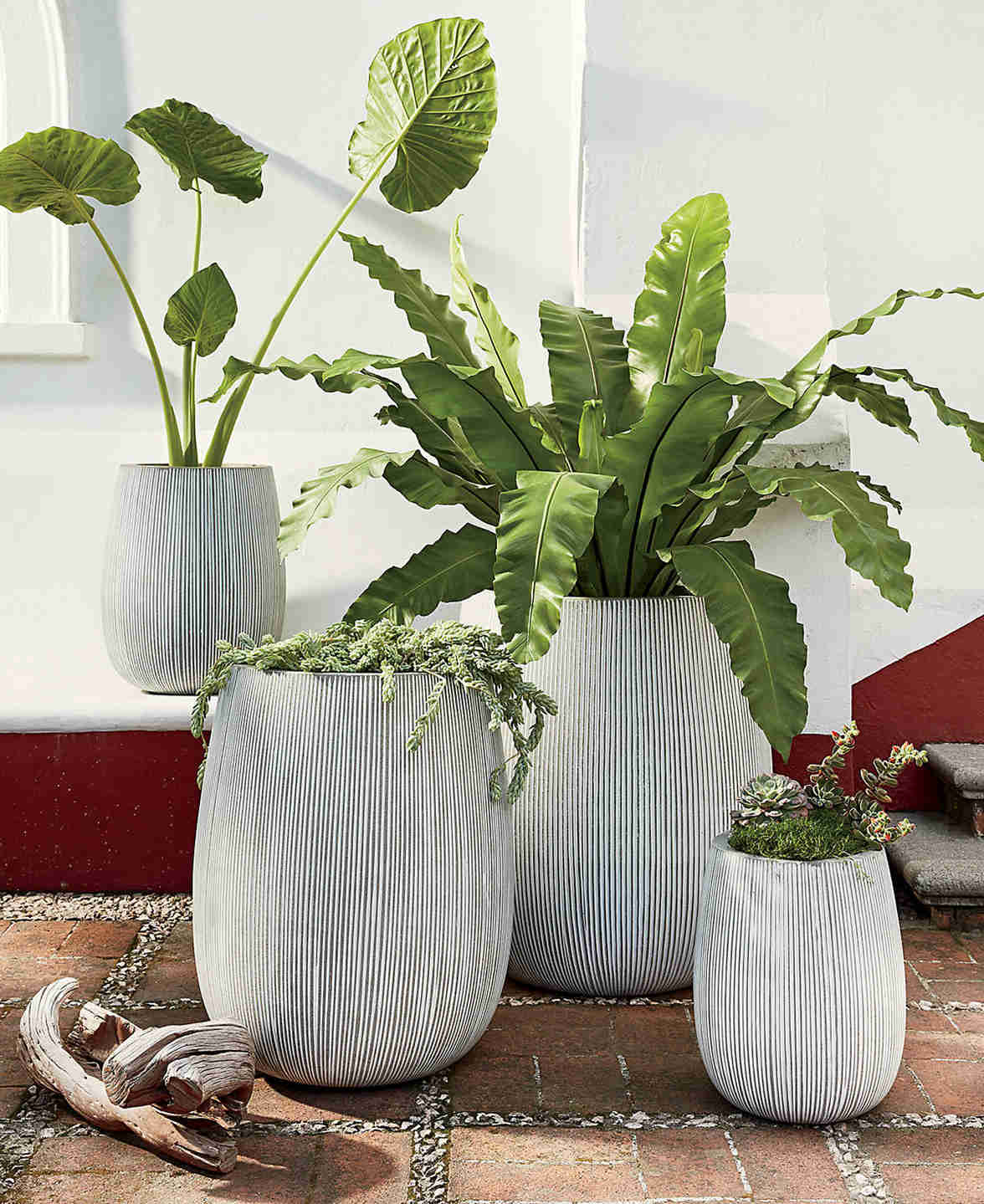 Cemento gris interior/plantador al aire libre medio